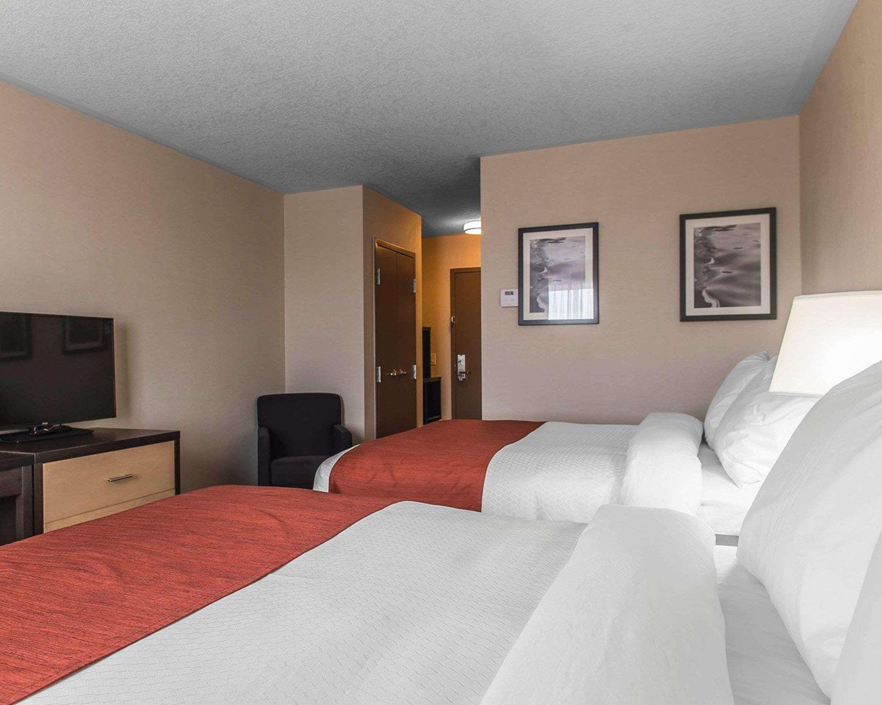 Quality Inn & Suites Kingston Dış mekan fotoğraf